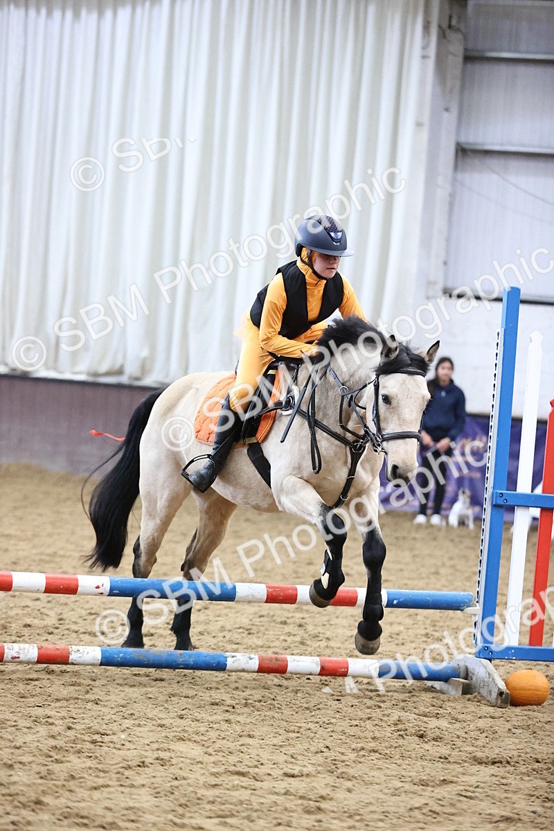 SBM_001231 - Class 3 - Horse & Hound 60cm