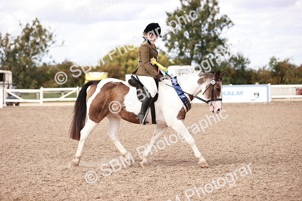 SBM_14412 - Class 409 - Grassroots Ridden - Pony