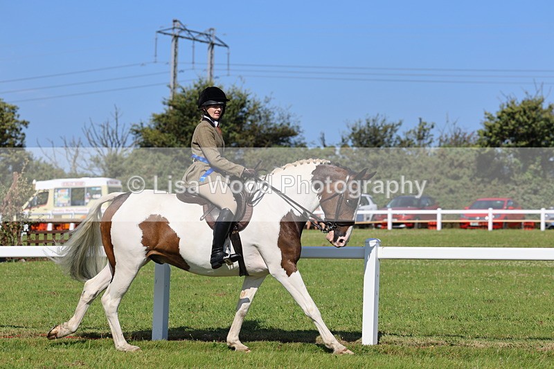 IMG_1631 - Skewbald and Piebald Ridden Championship