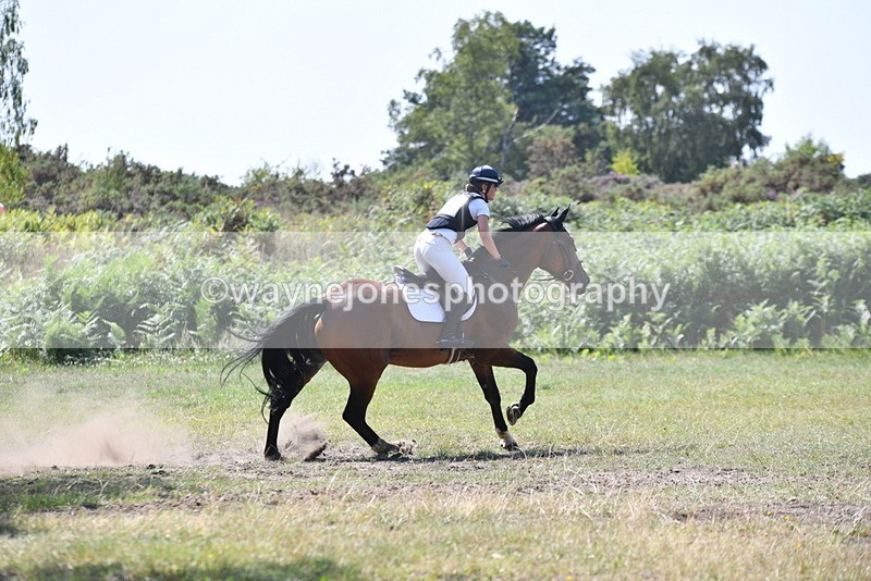 WJ5_3476 - XC Time 13:30 to 14:00