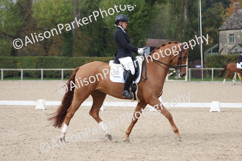 20251012-0785 - Class 9 - Advanced Medium 3