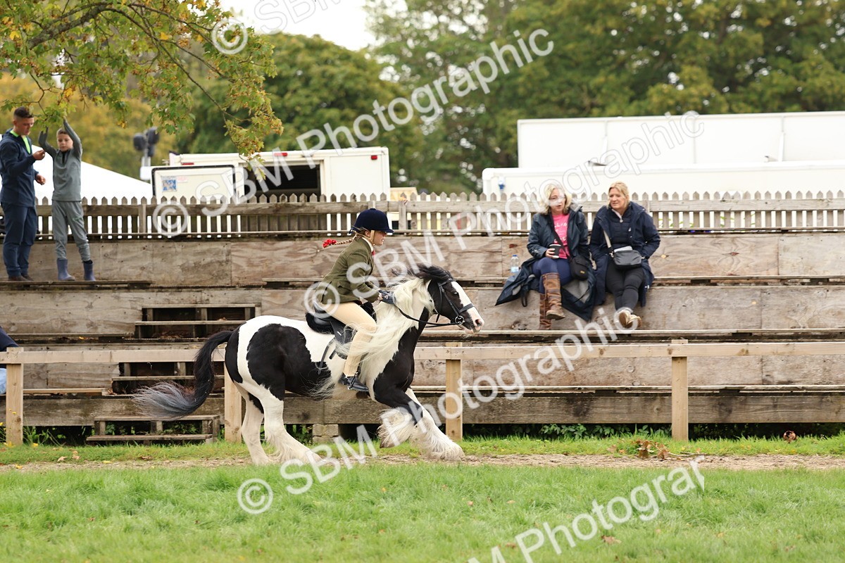 SBM_64524 - S58 - Coloured Pony Ridden