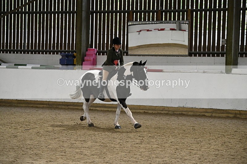 WJ7_3733 - Class 16 Ridden Coloured/ Odd Coloured