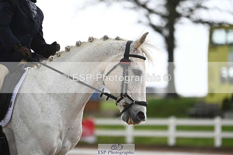 240323A-123026-01801 - DR Elementary 42