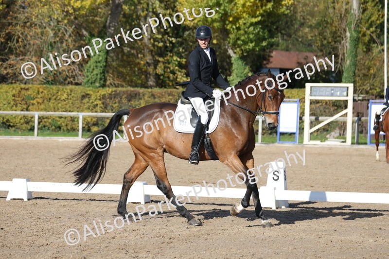 20251102-0658 - Class 4 - Novice 6