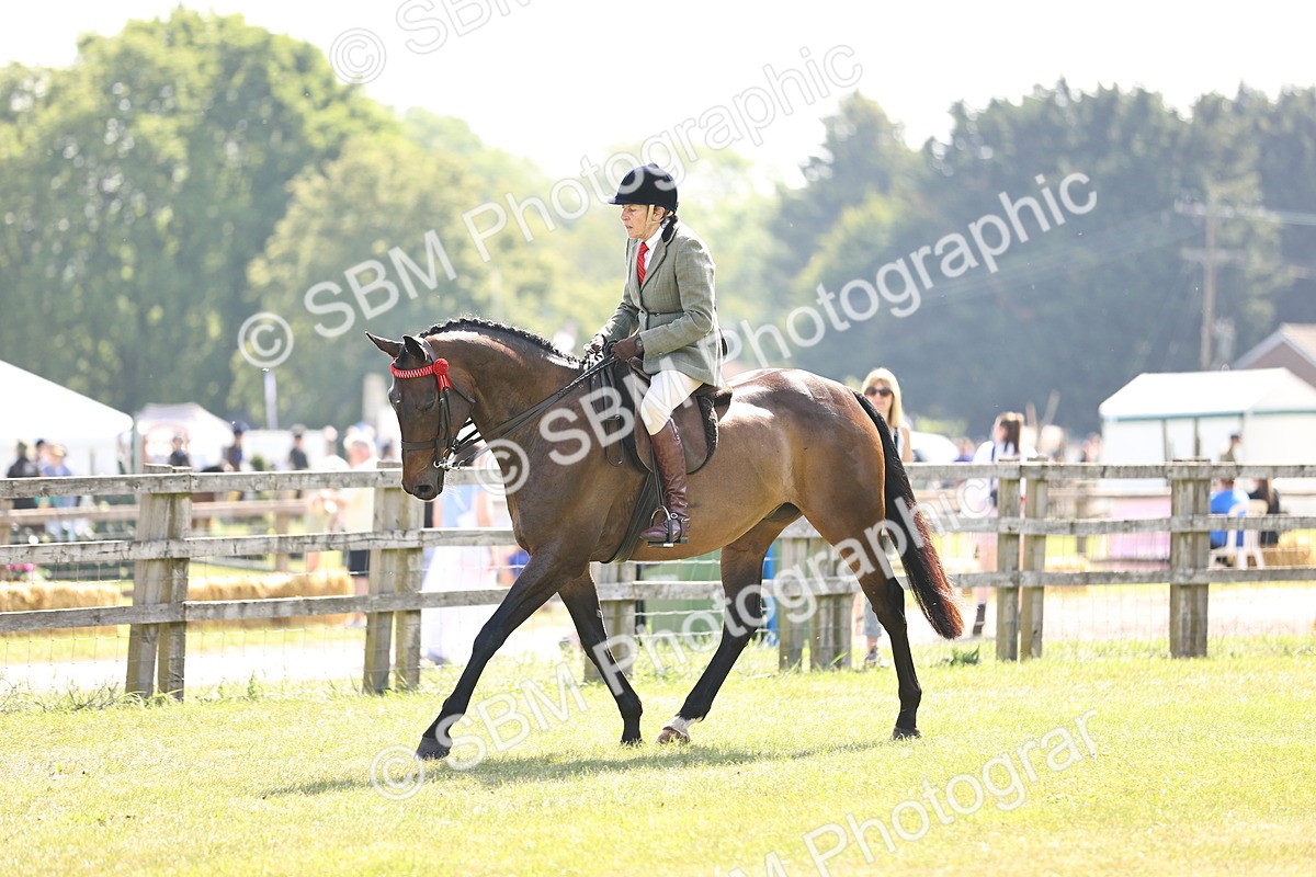SBM_13002 - Class 75-76 LIHS BSHA Rising Star Hack Riding Horse