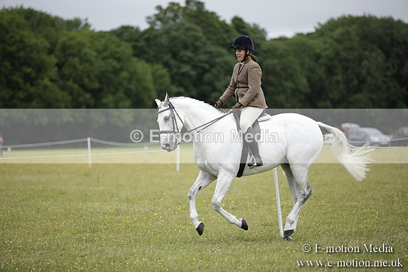 BVR160717-809 - Ring 1 BVRC Show 16/07/17