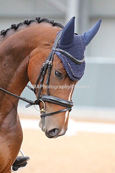 SIAL7175 - GDG Bogenraith Friday 26th Sept 2025