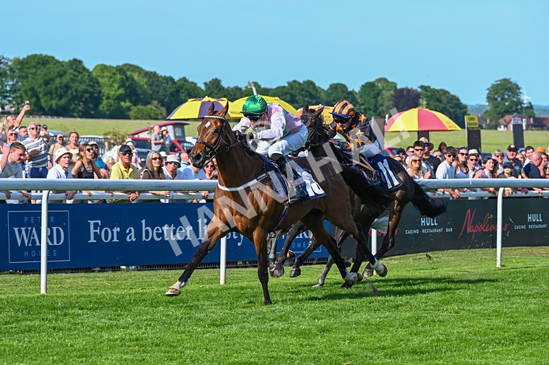 300526-Race 7-Anificas Beauty-7169 - Race 7 17.08pm Platinum Queen Play Live After Racing Handicap