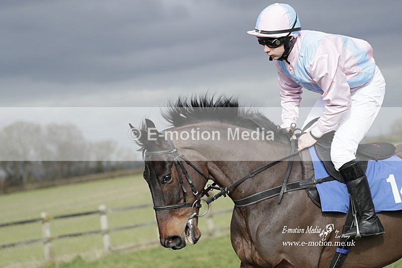 PtP 250223 0394 - Kimblewick Hunt Point-to-Point Kingston Blount 25/02/23