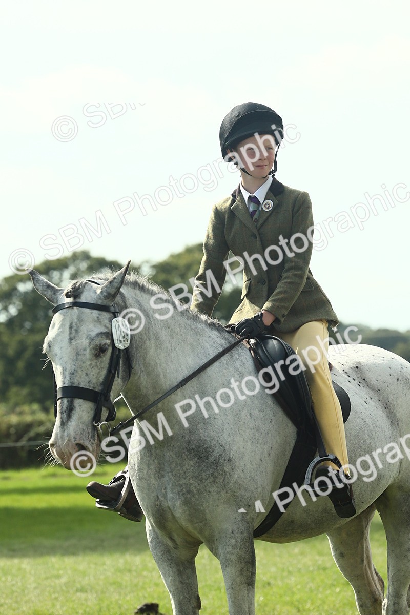 SBM_68956 - S58 - Mini Show Cob Ridden