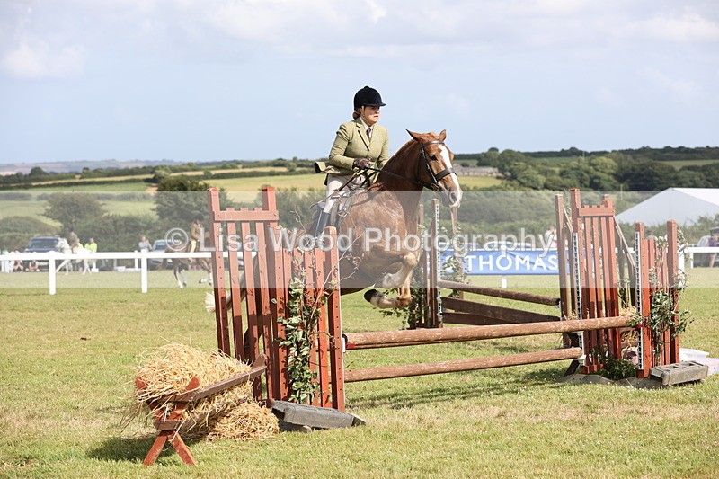 JPP_2526 - Class 20: Working Hunter 70cm