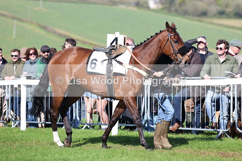 3E7A5579 - Race 6: Maiden (NWFAA)