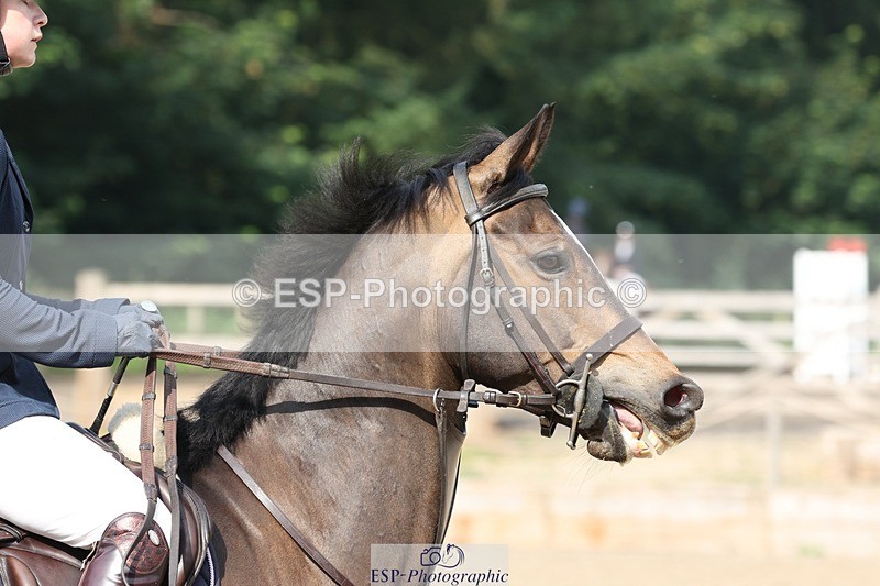 230617-092241-00674 - Cls 08a Pony 1.05