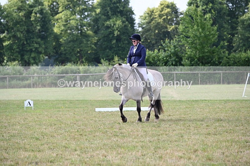 WJ6_5399 - Time 09:00 to 09:42