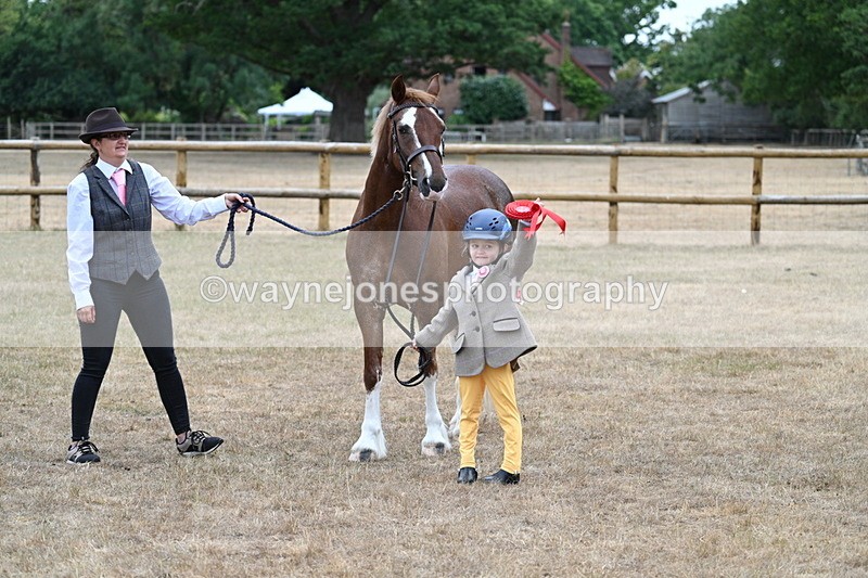 WJ7_8569 - Class 4 Prettiest Mare up to 14.2hh