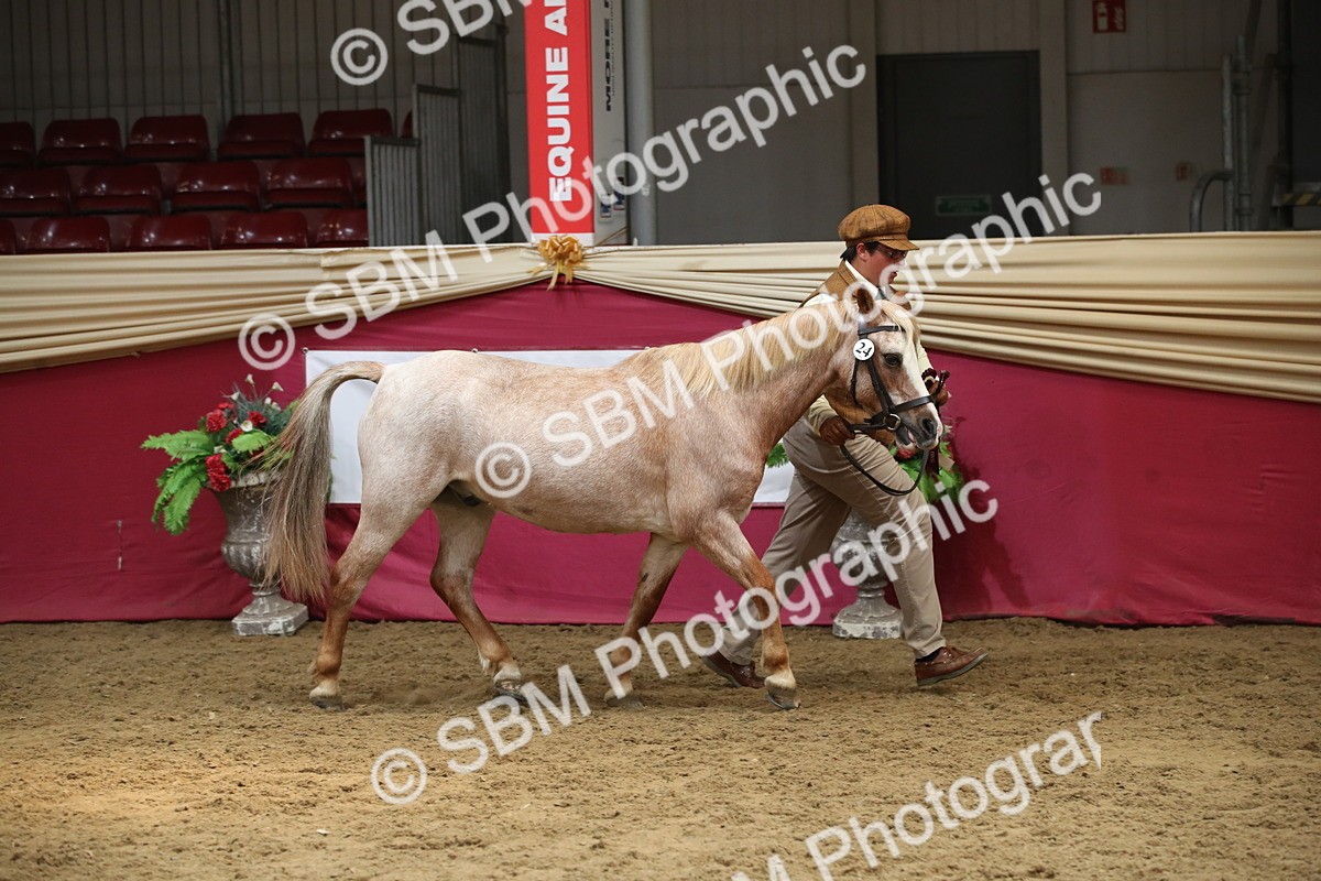 SBM_05465 - Class 8R - Regional IH Veteran