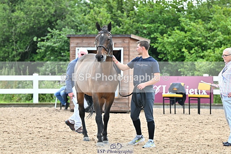 240718A-105327-02044 - Trot Up 2pm to 3pm - This folder is not in time order