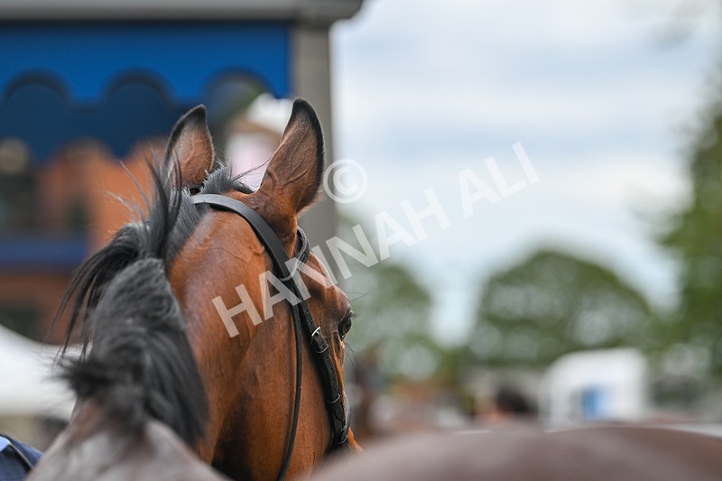 300825-Race 3-Secret Echo-0902 - Race 3