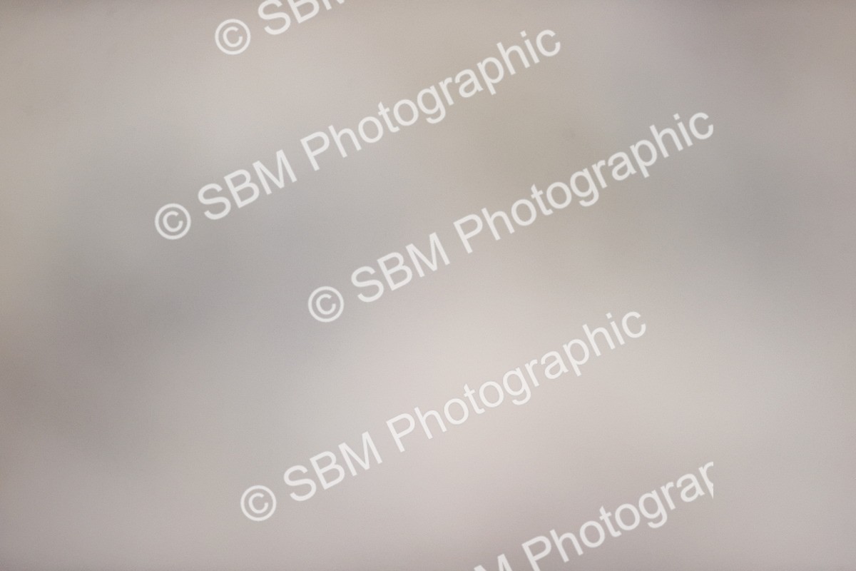 SBM_004222 - SJ - 90cm