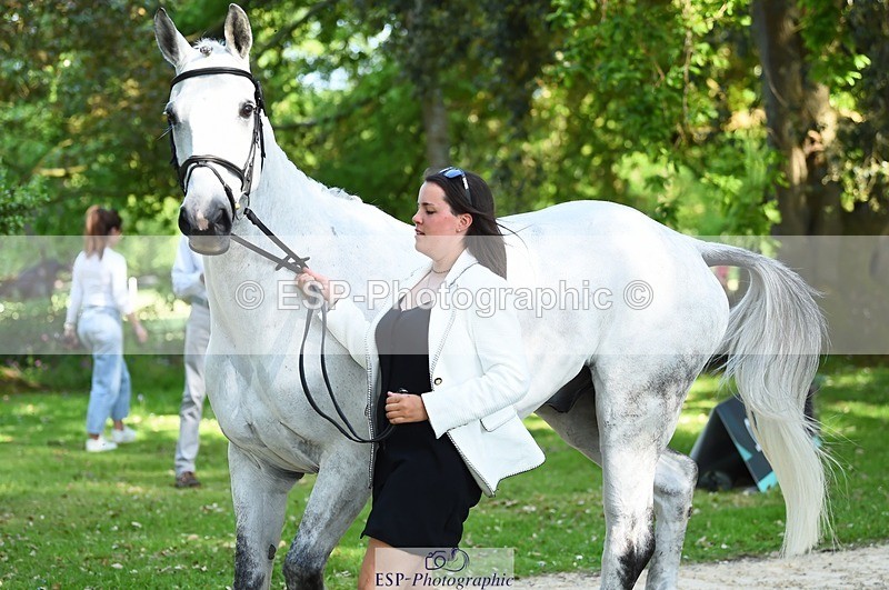 230524-161546-00803 - 261-COOLEY_NOW_OR_NEVER-Georgina_Herrling-WEDTrotUp+DR