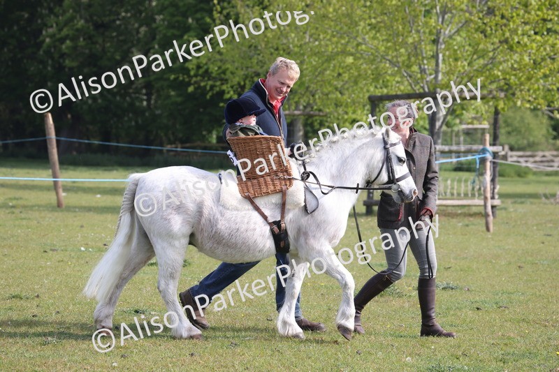 20260426-0257 - Class 30 - Tiny Tots Lead Rein
