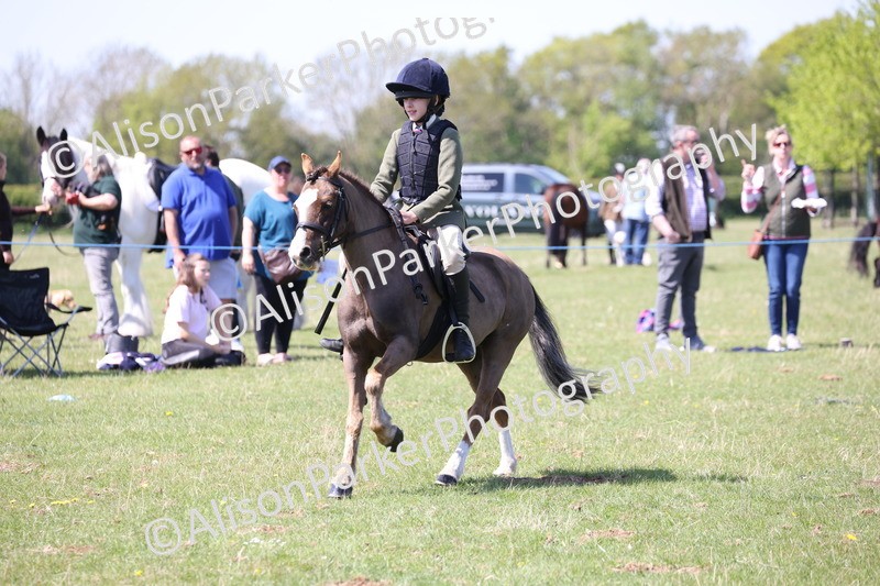 20250427-3291 - Class 33 - Best Pony 14.2hh and Under