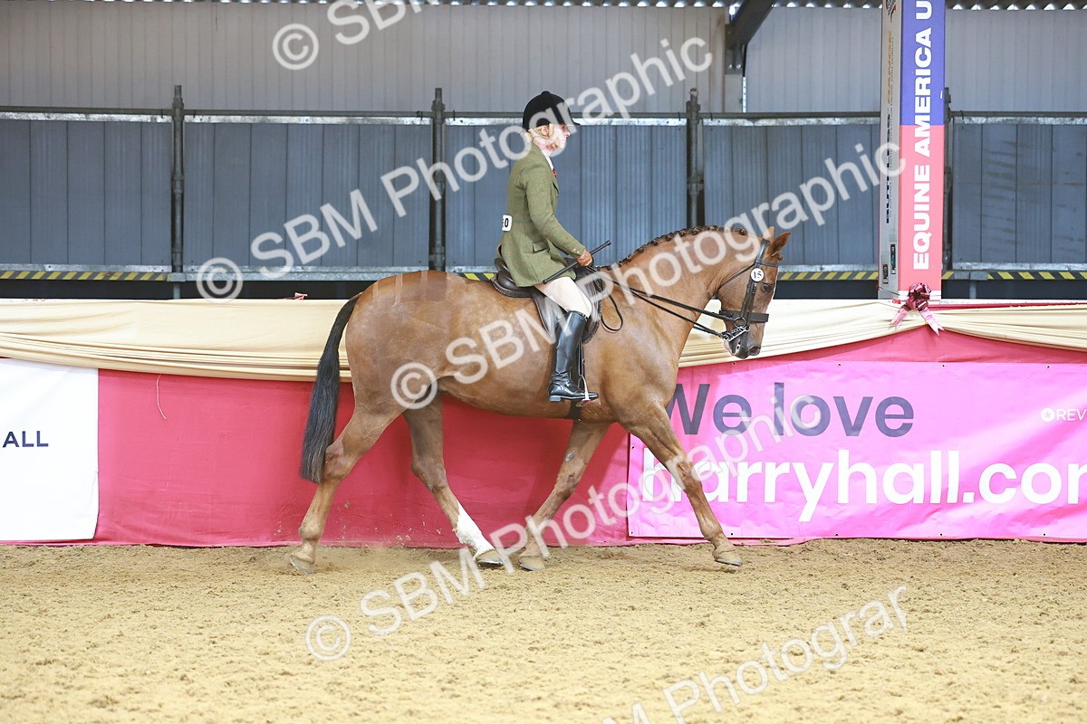 SBM_12429 - Class 103 - HOYS Veteran Qualifier - Ridden Pre Vet