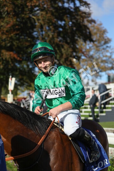 yr08102022r2-48 - Race 2 2.05pm The Coral Rockingham Stakes