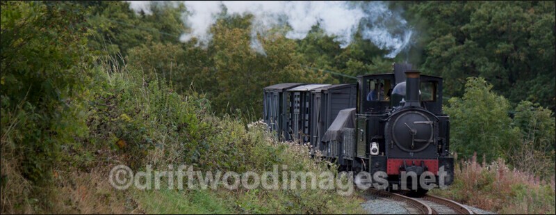 WLLR The Earl approaches Cwm Lane with goods wagons - The Welshpool & Llanfair Light Railway