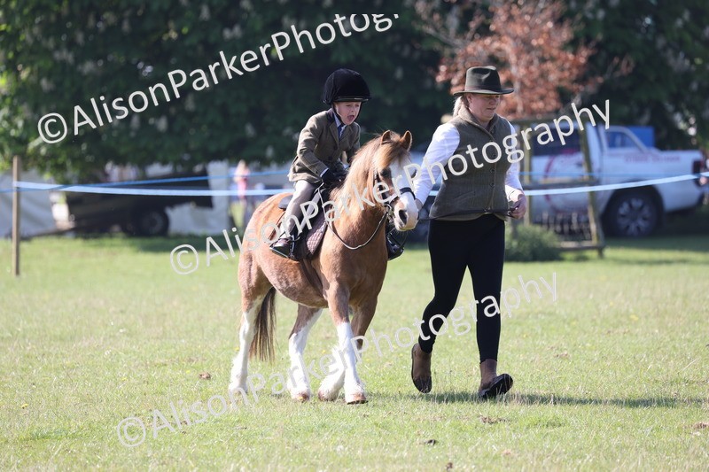 20250427-0159 - Class 30 - Tiny Tots Lead Rein