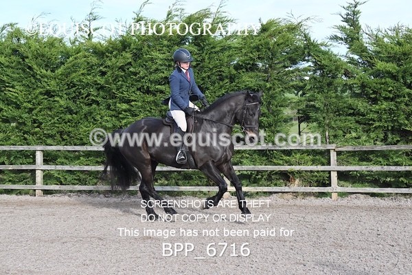 BPP_6716 - RING 1  (RIDDEN HORSES / IN HAND / VETERAN ETC)