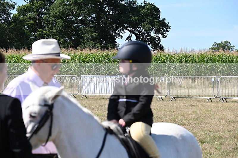 WJ6_7868 - Class 36 Lead Rein