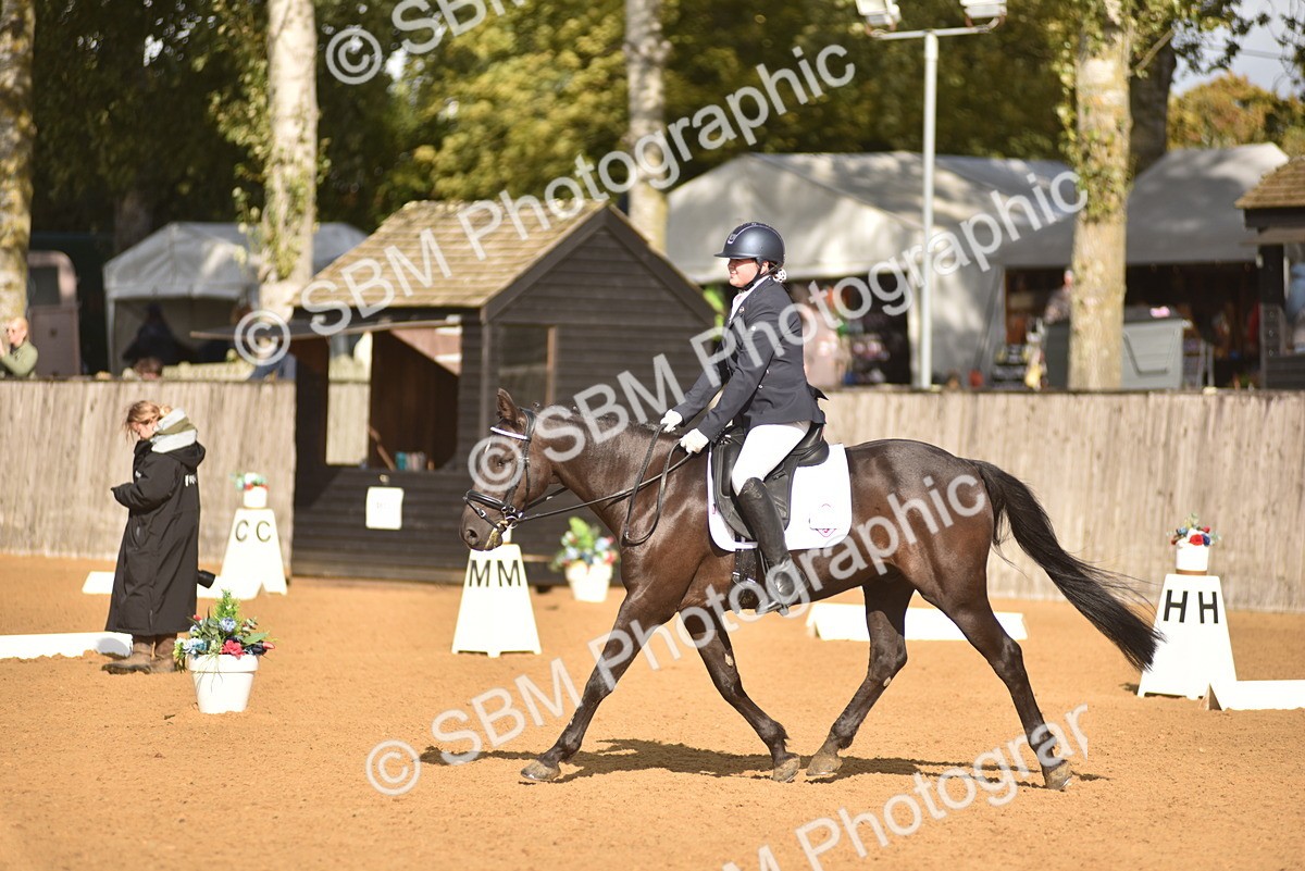 SBM_48894 - D22 - Junior Championship Intro 3