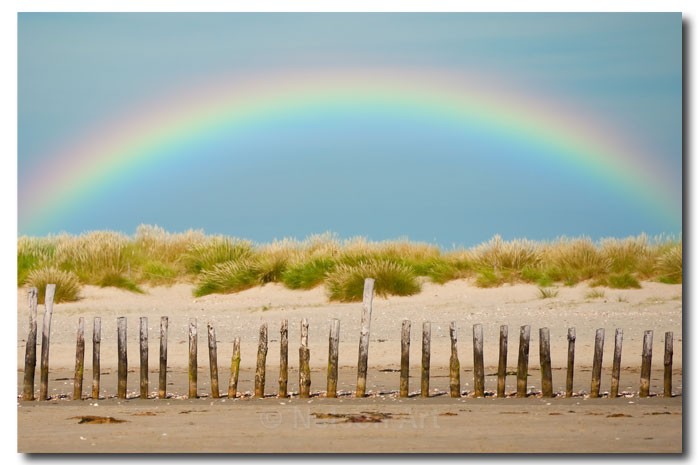 Beach Rainbow - Scapes