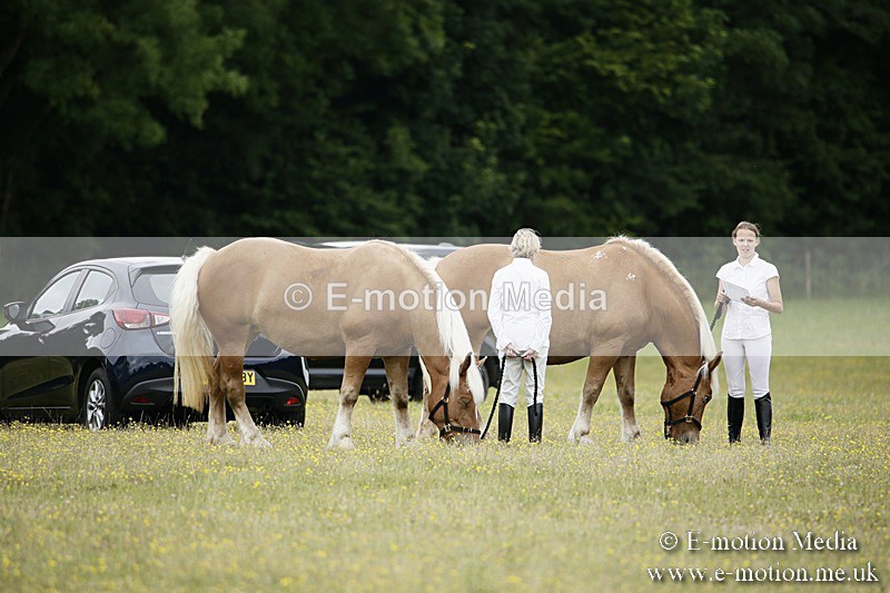 BVR160717-1004 - Caught on Camera 16/07/17