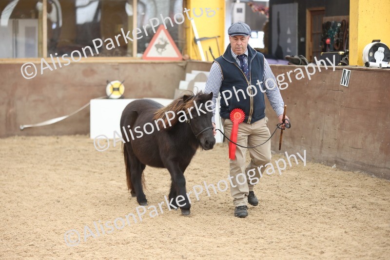 20251109-0111 - Championship