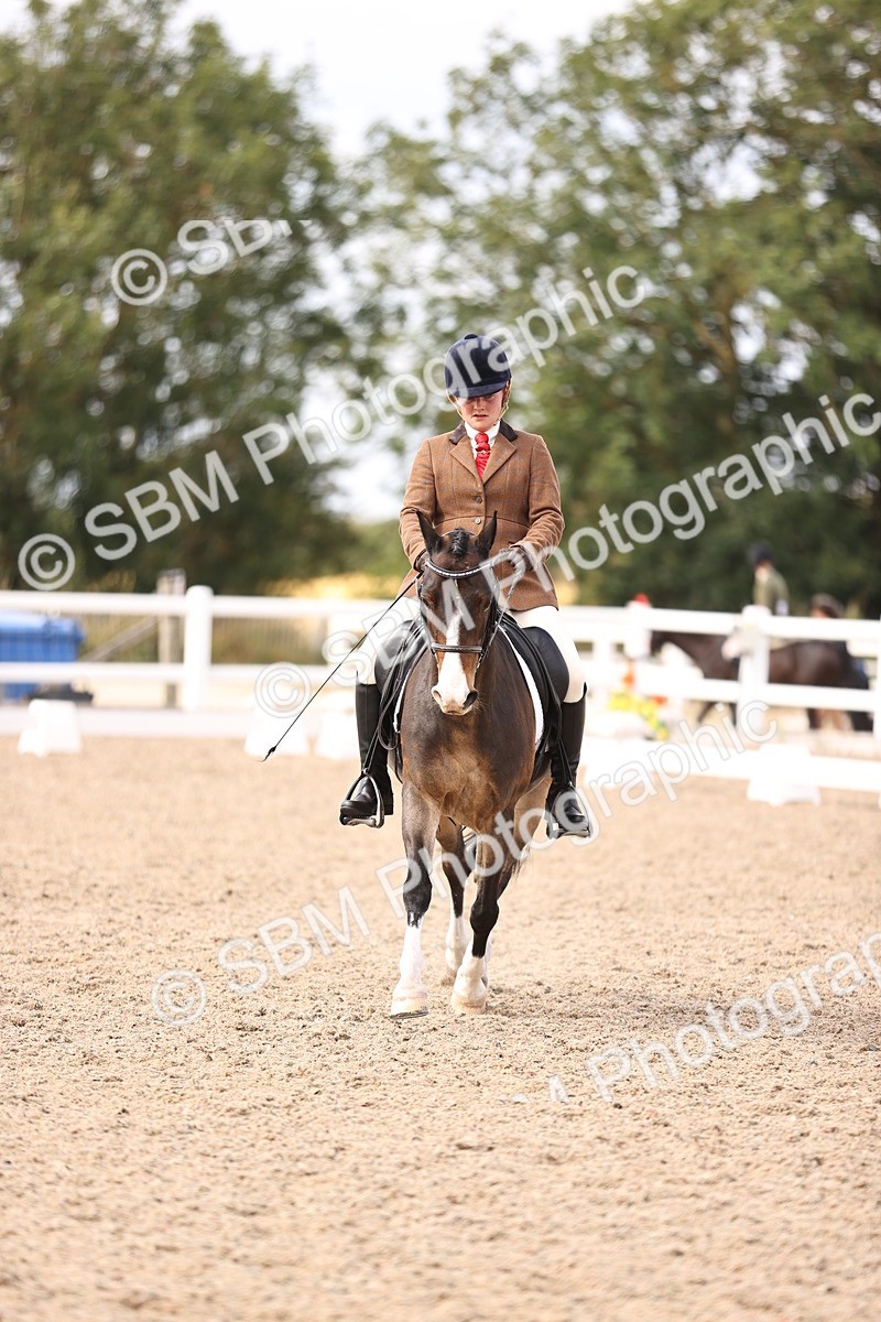 SBM_06072 - Class 37 Novice 5