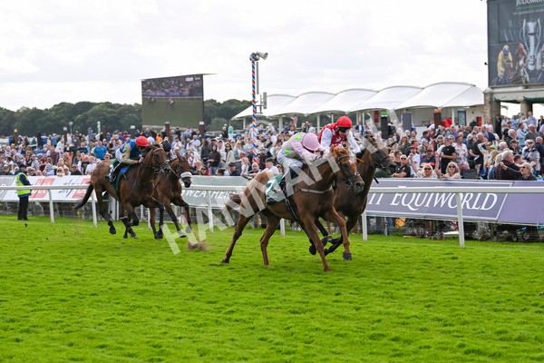 230824-Race 2-Vauban-8941 - Race 2 2.25pm Weatherbys Hamilton Lonsdale Cup Stakes