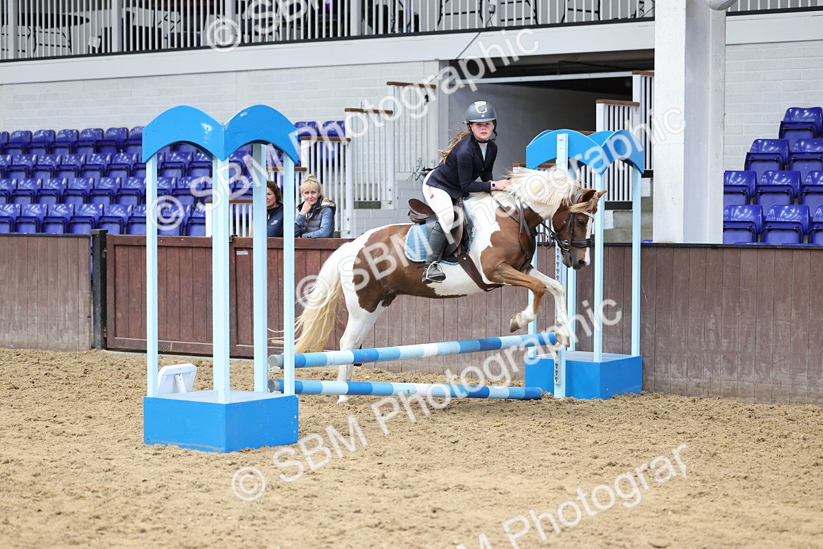 SBM_007684 - Class 3 - 60cm showjumping