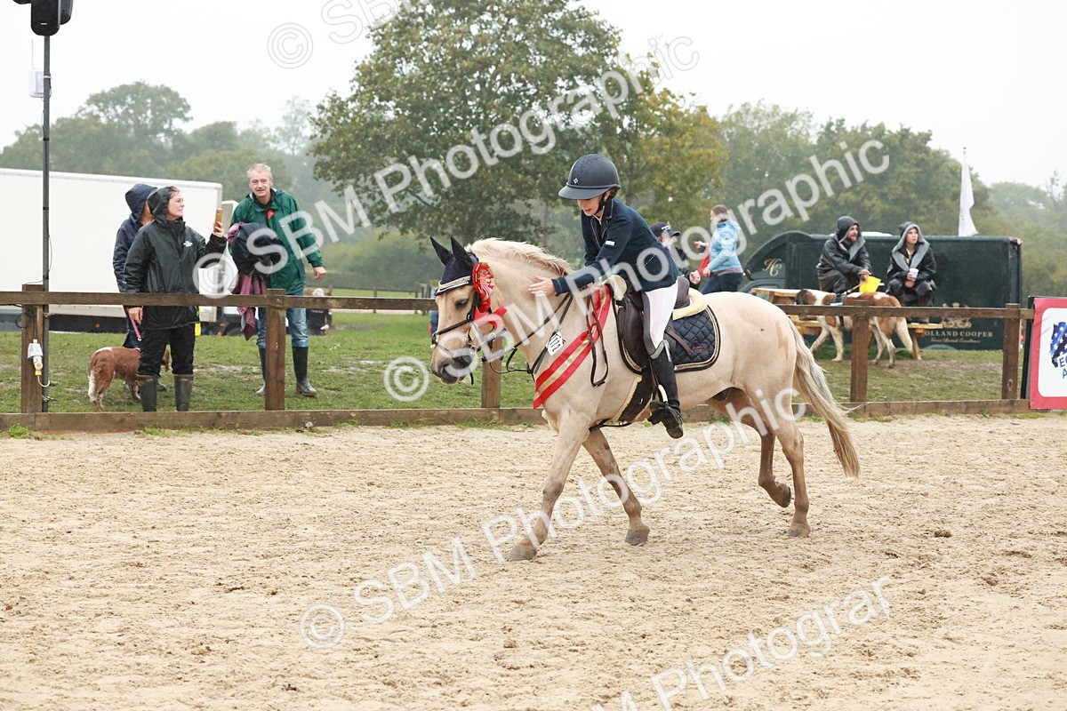 SBM_73658 - Supreme Championship Junior Pony 60cm & 65cm