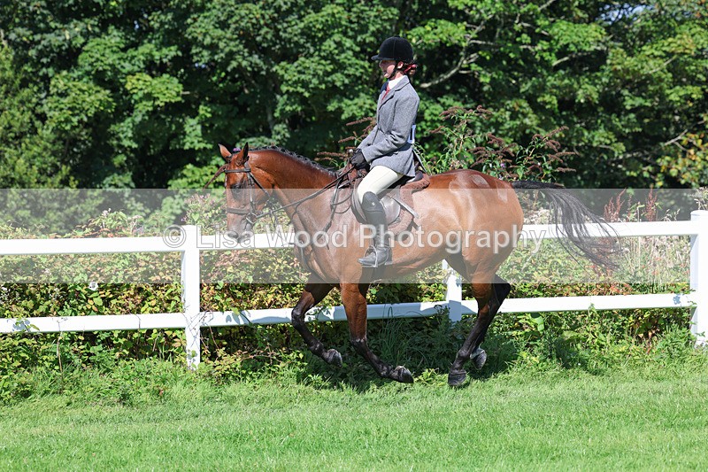 3E7A8406 - Class 4: Novice working Hunter