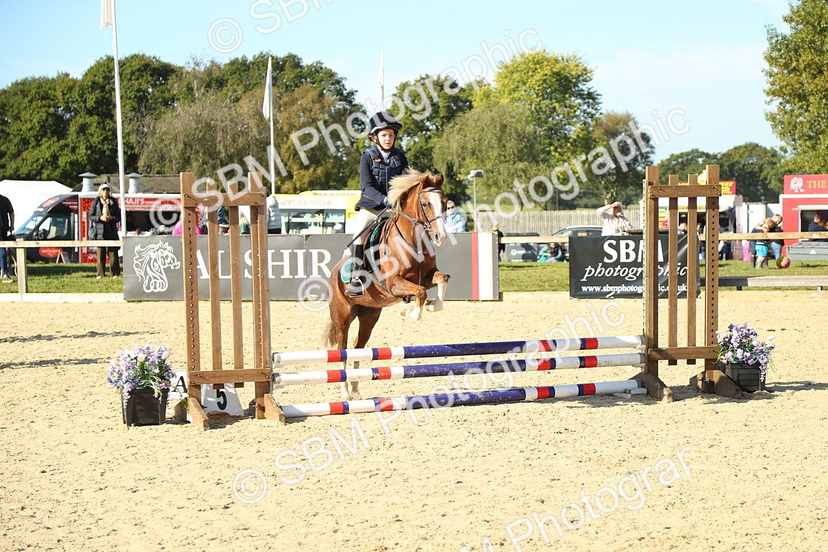 SBM_35914 - J5 - Junior Pony 50cm Championship