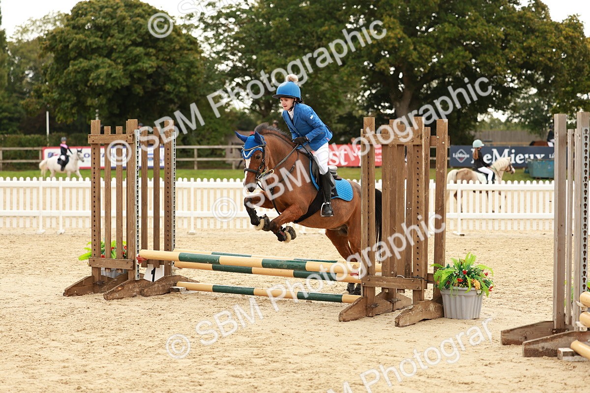 SBM_57856 - J11 - Junior Pony 50cm Championship