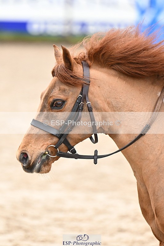 260222A-112629-00613 - 50cm All sections