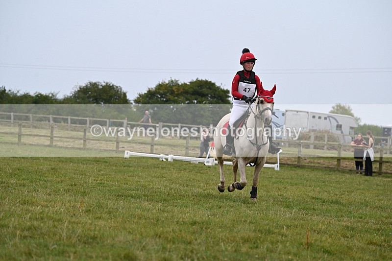 WJ6_3213 - 80cm XC Time 15:45 to 16:02