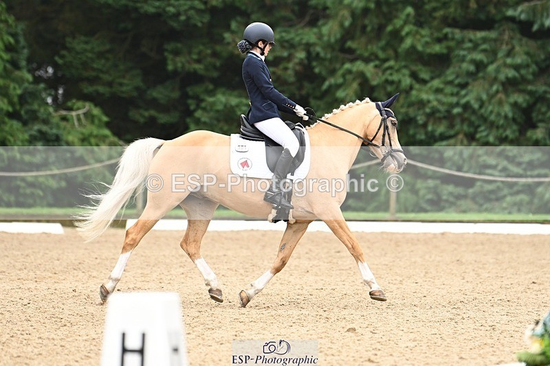 240811-122552-05828 - 301-Sophia.Longworth-Don.Deluxe