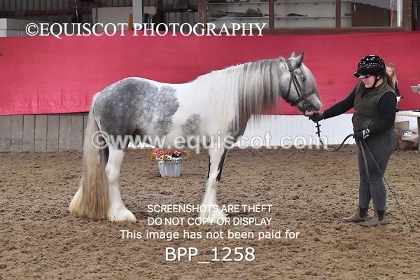 BPP_1258 - MORNING 9AM - 12PM