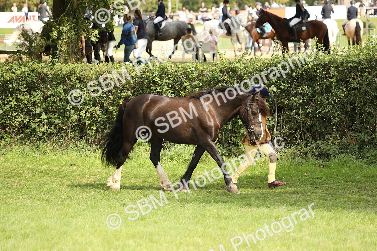 SBM_67740 - S39 - Junior Handler 8  Years & Under