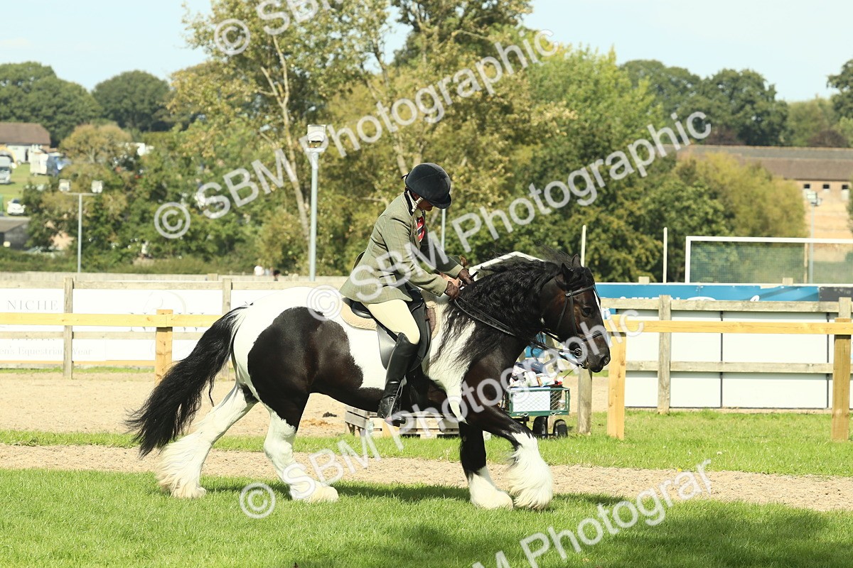 SBM_67580 - S56 - Coloured Pony Ridden